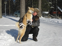 Sirkku